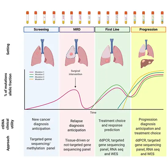 Cancer Targeted Gene Panel: Lung